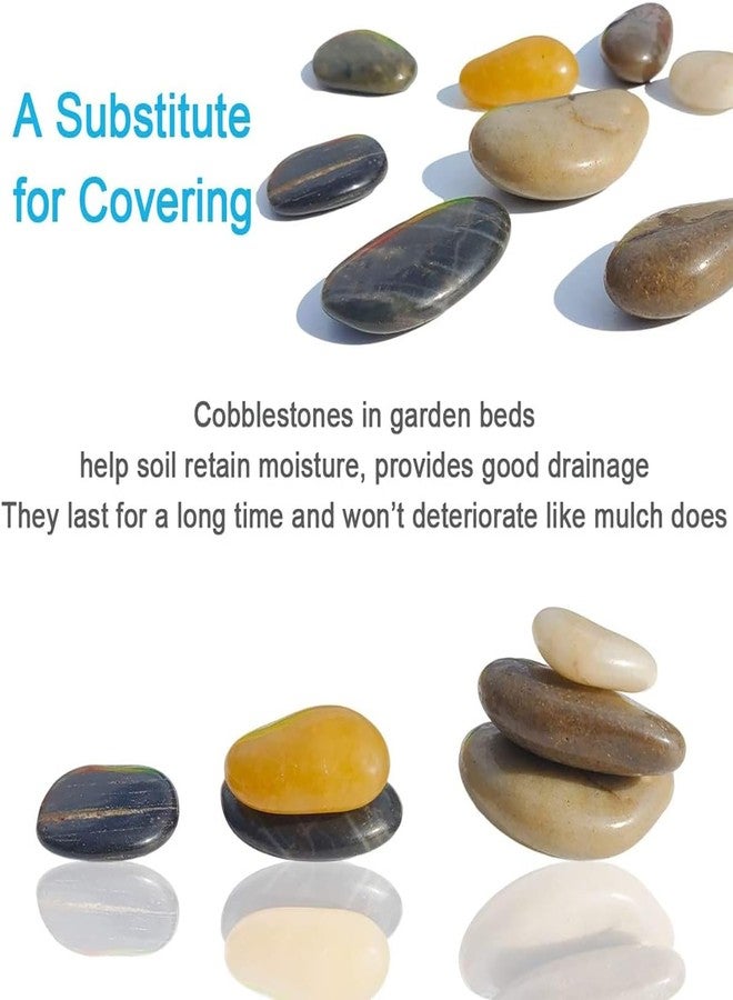 Emily Pets River Rocks for Plants 1-2 Cm Natural Decorative Stone for Indoor Pots or Vase or Outdoor Garden Landscaping Polished Mixed Pebbles for Planters (1.95kg) - Image 3